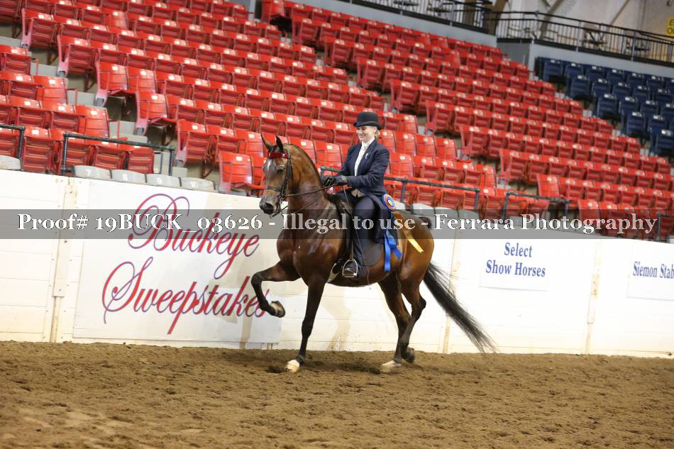 Proof 19BUCK_03626