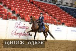 19BUCK_03626 proof