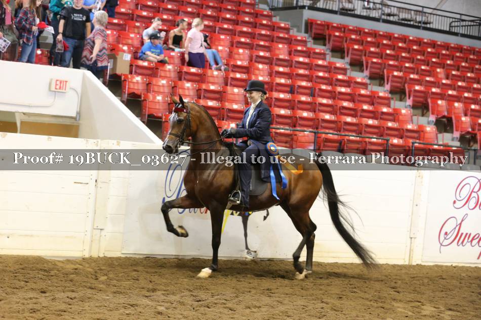 Proof 19BUCK_03627