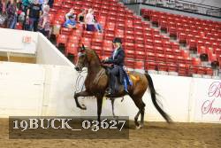 19BUCK_03627 proof