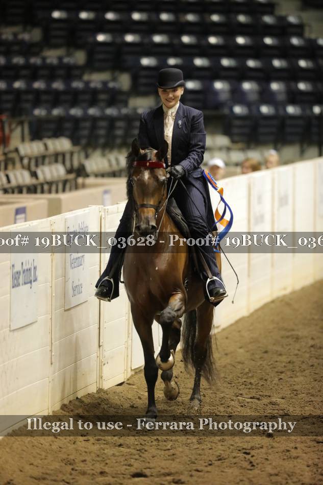 Proof 19BUCK_03628