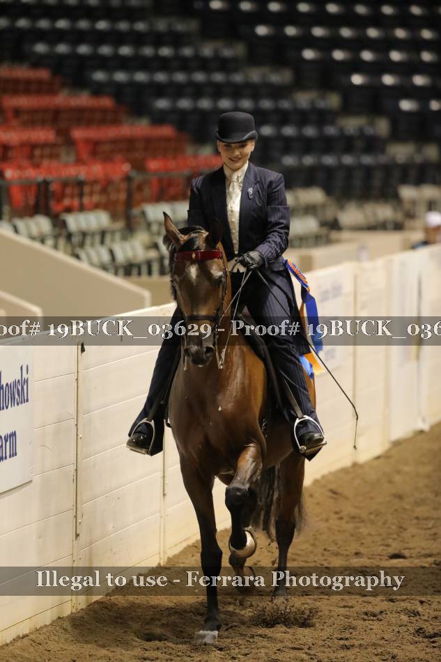 Proof 19BUCK_03629