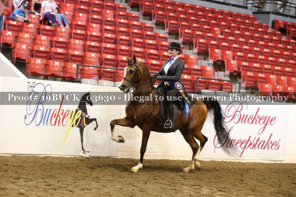 Proof 19BUCK_03630