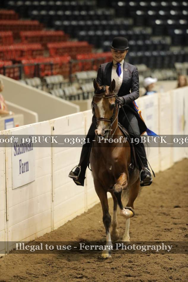 Proof 19BUCK_03631