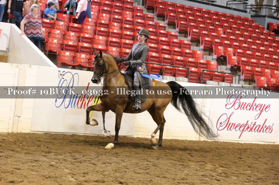 Proof 19BUCK_03632