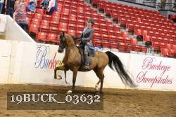 19BUCK_03632 proof