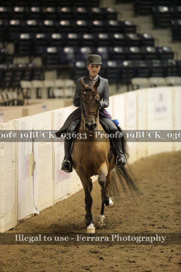 Proof 19BUCK_03633