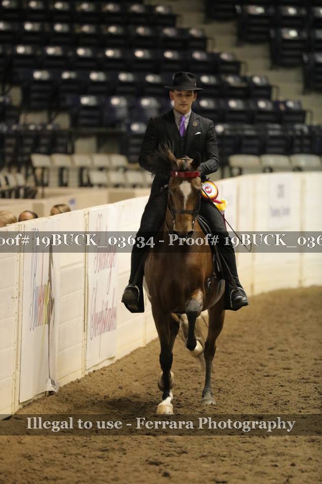 Proof 19BUCK_03634