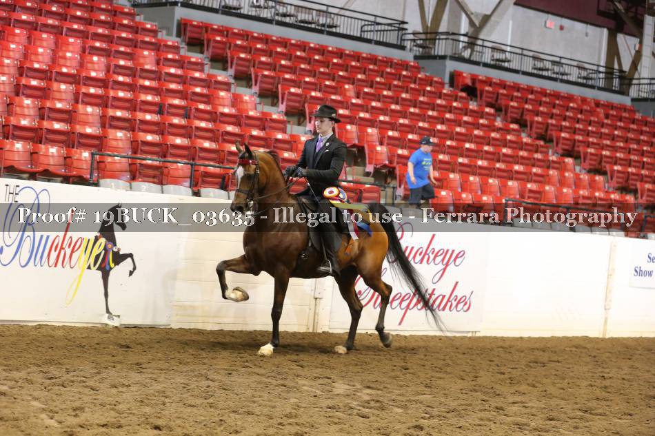 Proof 19BUCK_03635
