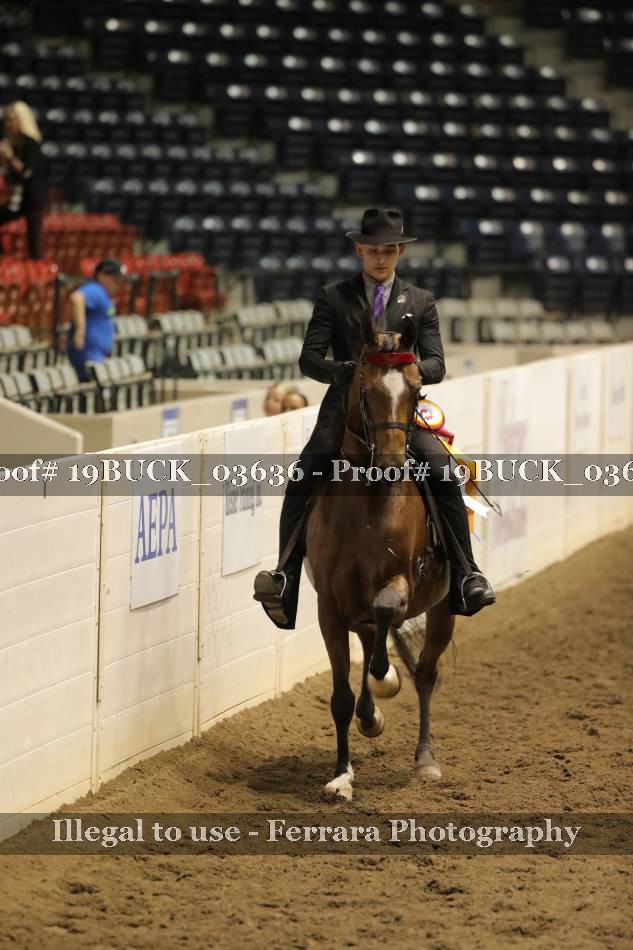 Proof 19BUCK_03636