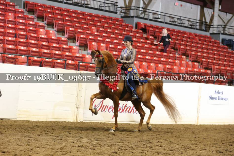 Proof 19BUCK_03637