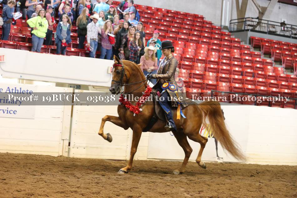 Proof 19BUCK_03638