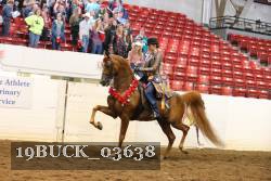 19BUCK_03638 proof