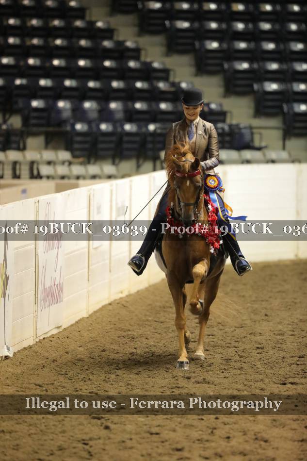 Proof 19BUCK_03639