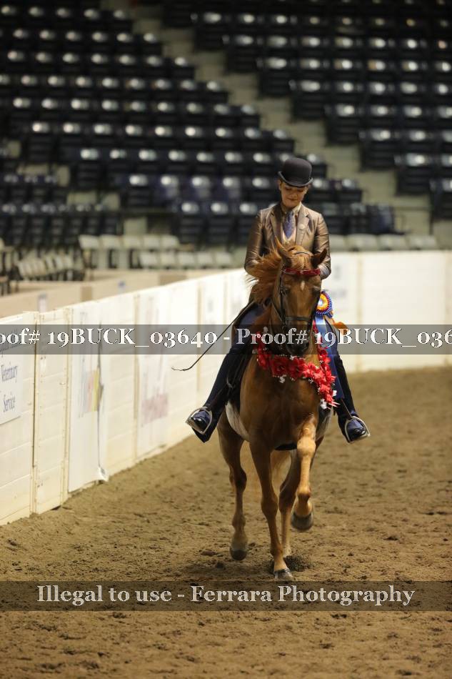 Proof 19BUCK_03640