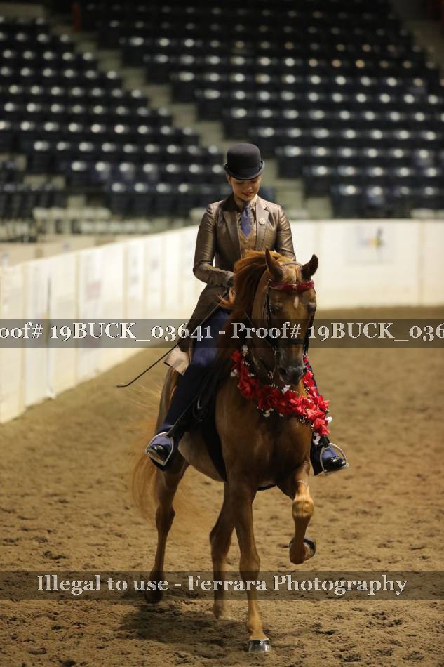 Proof 19BUCK_03641