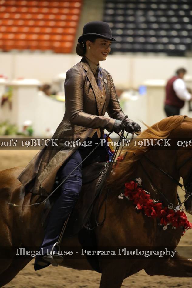 Proof 19BUCK_03642