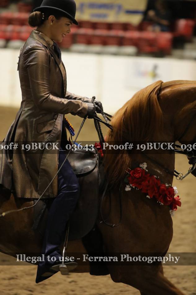 Proof 19BUCK_03643