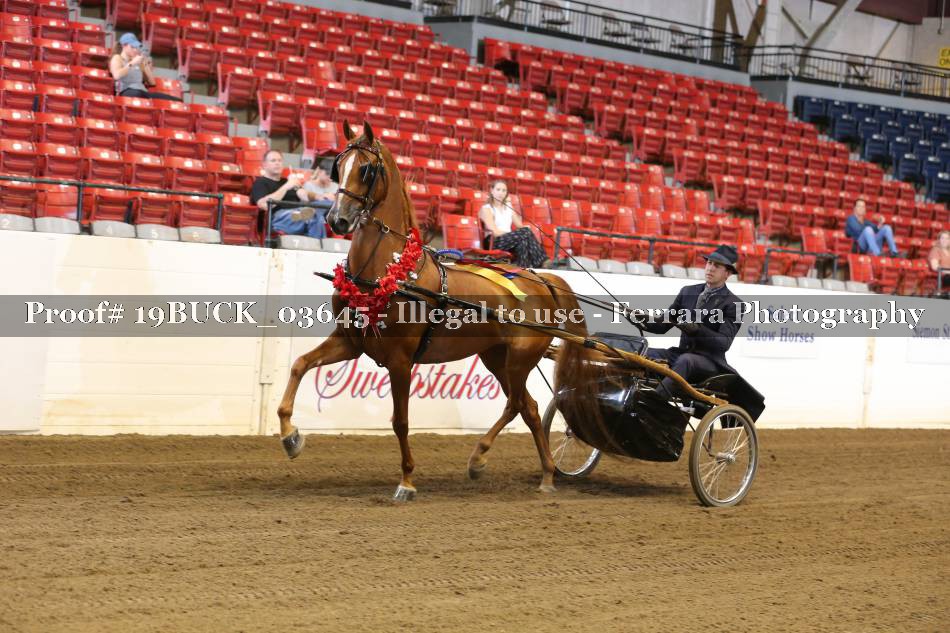Proof 19BUCK_03645