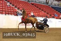 19BUCK_03645 proof