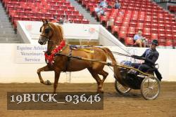 19BUCK_03646 proof