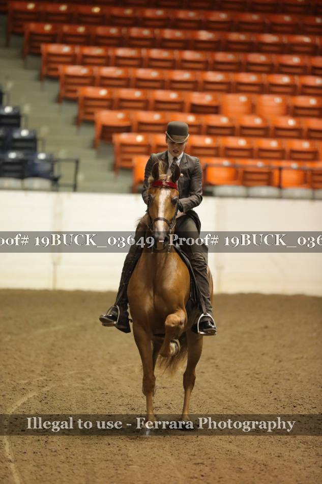 Proof 19BUCK_03649