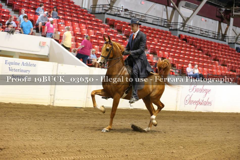 Proof 19BUCK_03650