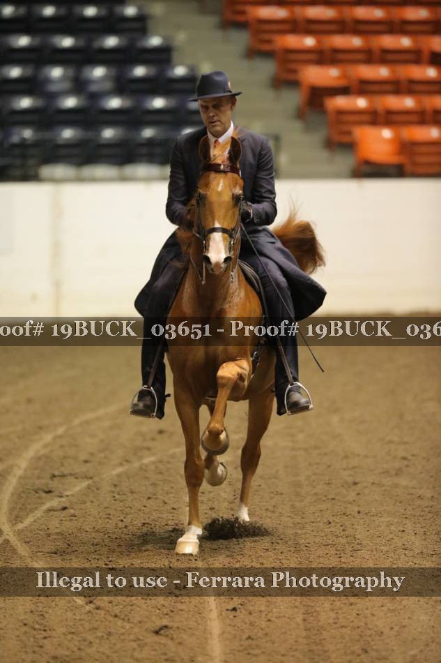 Proof 19BUCK_03651