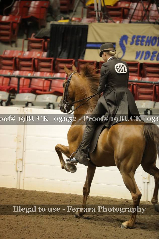 Proof 19BUCK_03652