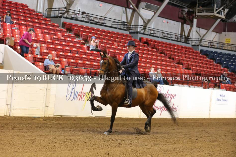 Proof 19BUCK_03653