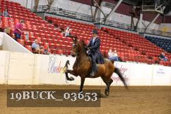19BUCK_03653 proof