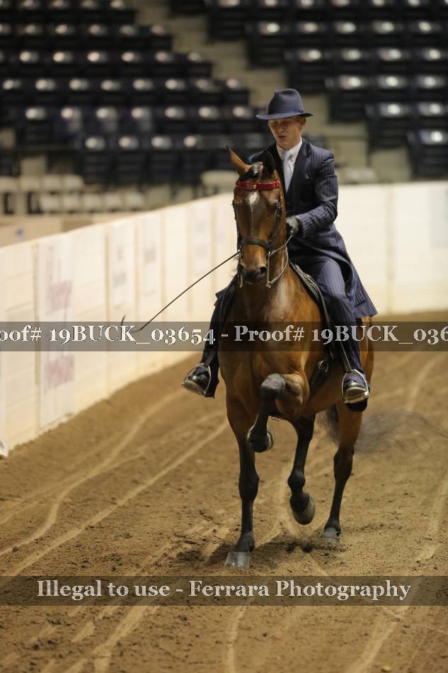 Proof 19BUCK_03654