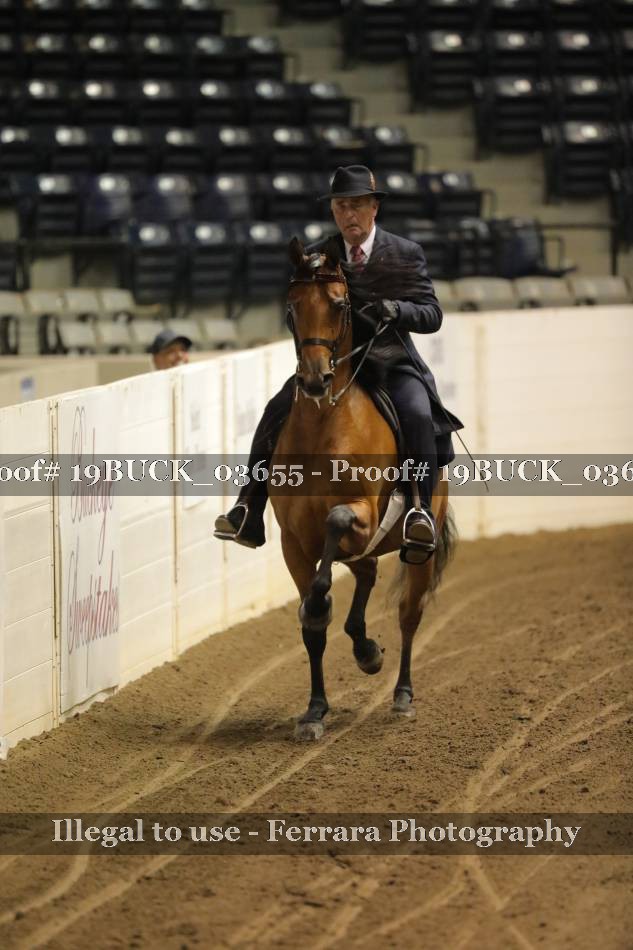 Proof 19BUCK_03655