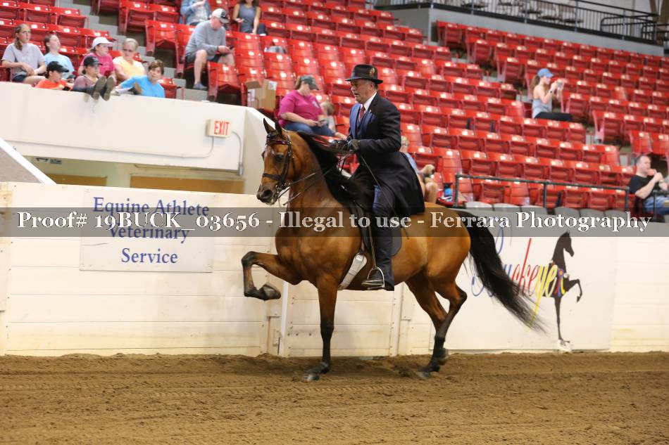 Proof 19BUCK_03656