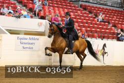 19BUCK_03656 proof