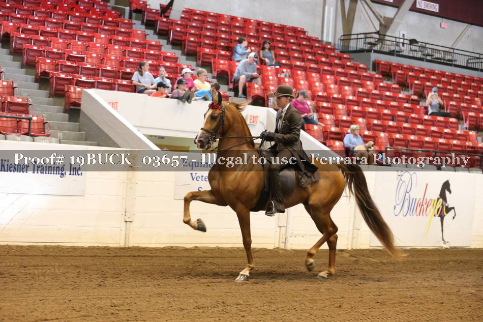 Proof 19BUCK_03657