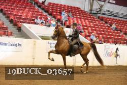 19BUCK_03657 proof