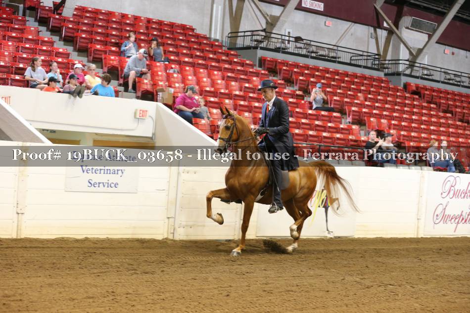 Proof 19BUCK_03658