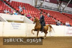 19BUCK_03658 proof
