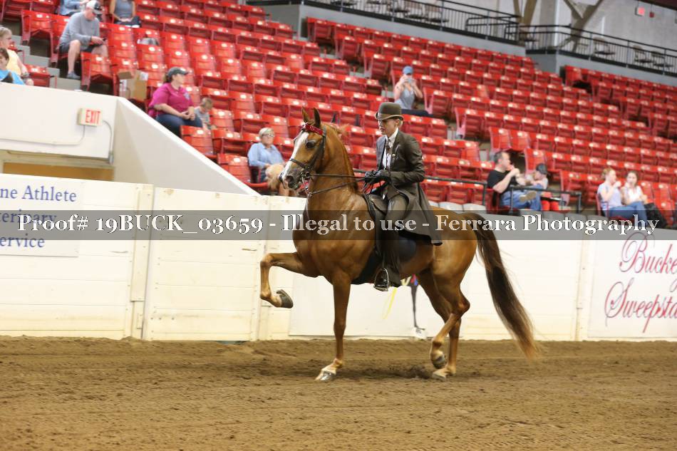 Proof 19BUCK_03659