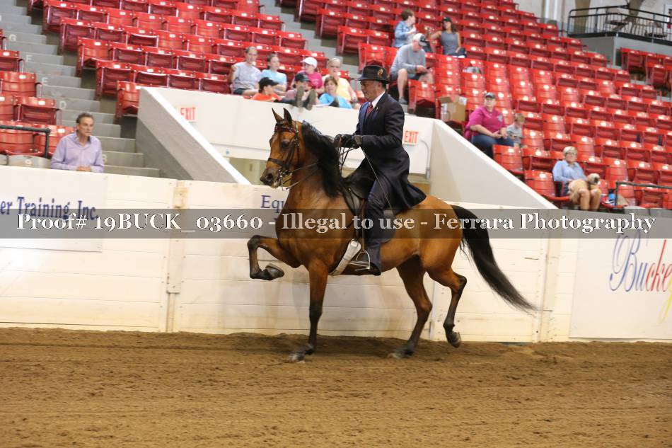 Proof 19BUCK_03660