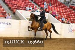 19BUCK_03660 proof