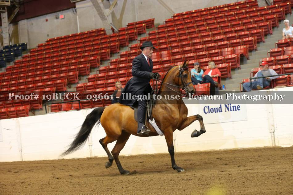 Proof 19BUCK_03661