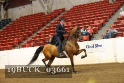 19BUCK_03661 proof