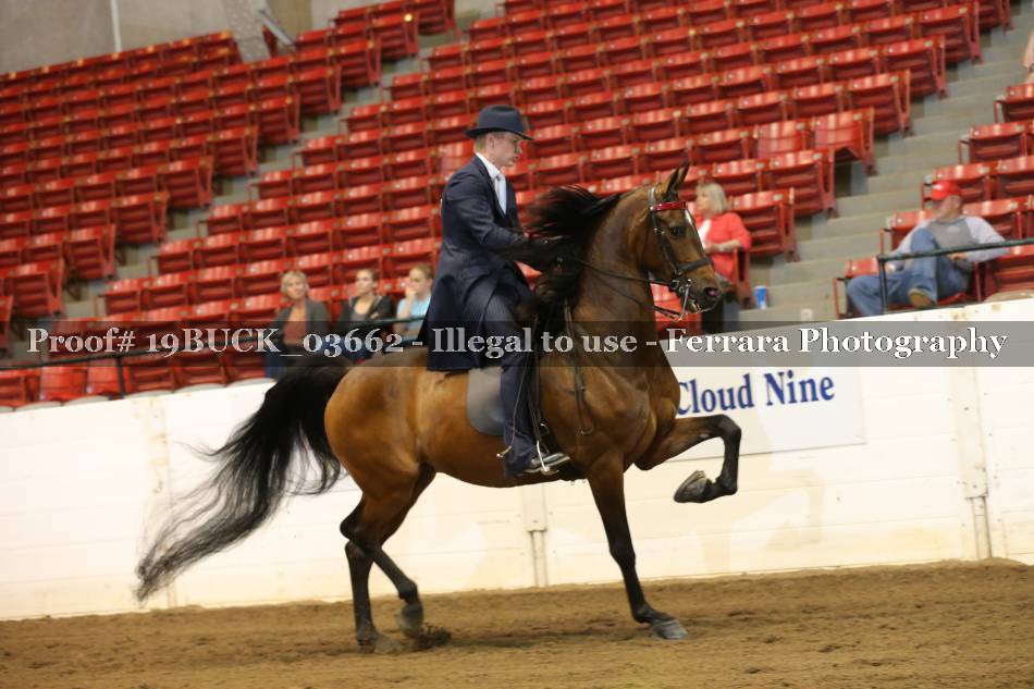 Proof 19BUCK_03662