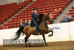 19BUCK_03662 proof