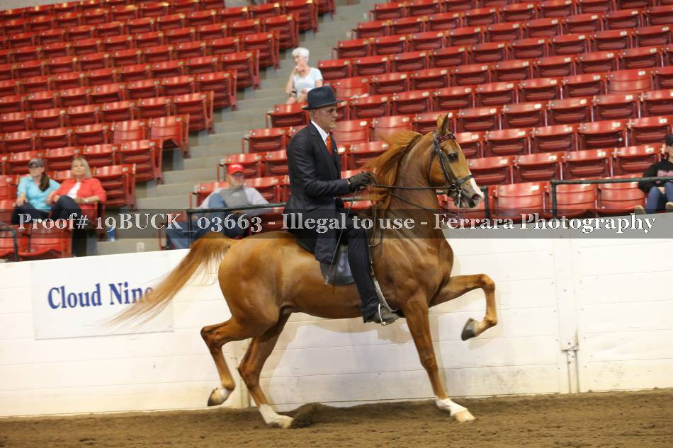 Proof 19BUCK_03663