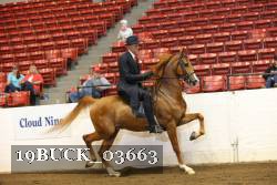 19BUCK_03663 proof