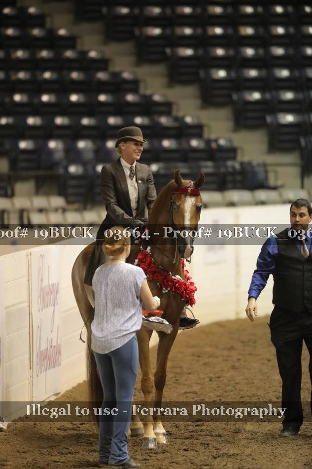 Proof 19BUCK_03664