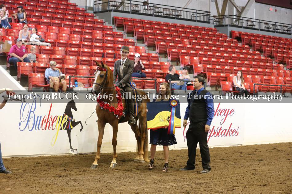 Proof 19BUCK_03665